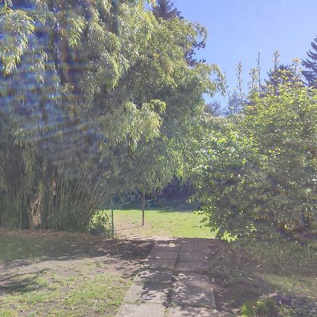 Wohnung In St Poelten Sankt Poelten Ngoại thất bức ảnh